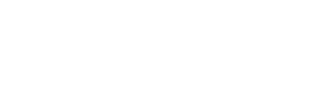 Vernum Consulting logo